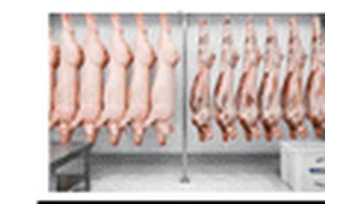 Whole pork carcass 35.1 to 40 kilo